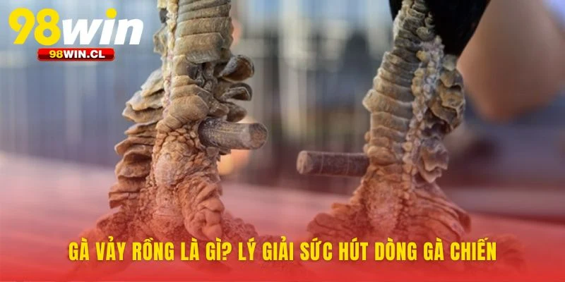 Khi bộ vảy chân làm nên tên tuổi một huyền thoại